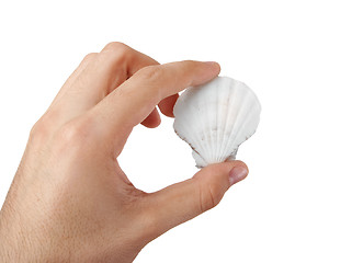 Image showing Shell in a man hand.