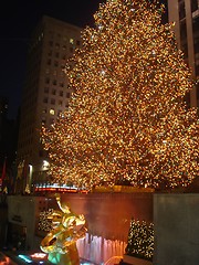 Image showing Christmas Tree