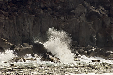 Image showing Volcanic coastline in  Azores