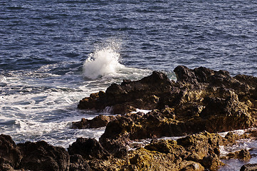 Image showing Volcanic coastline in  Azores