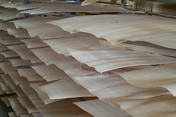 Image showing Wood veneer for plywood production