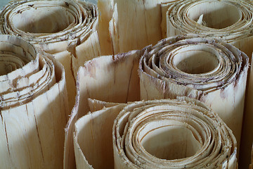 Image showing Rolls of wood veneer for plywood production