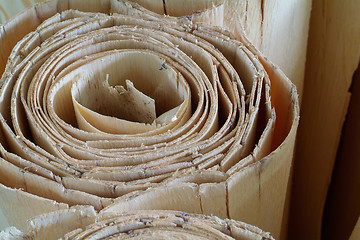 Image showing Roll of wood veneer for plywood production