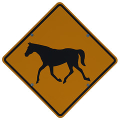 Image showing Horse Crossing