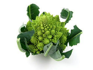 Image showing Romanesco