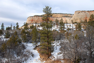 Image showing Zion
