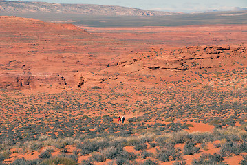 Image showing Desert walk