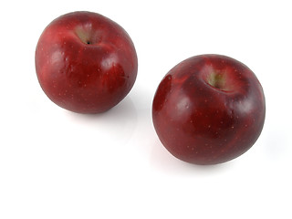 Image showing Apples