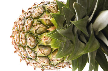 Image showing pineapple