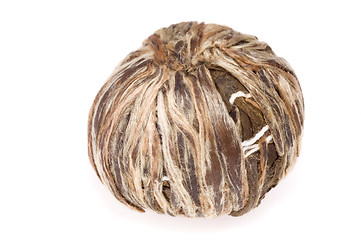 Image showing ball of white tea