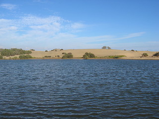 Image showing Shoreline of desert