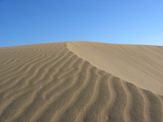 Image showing Sand dune