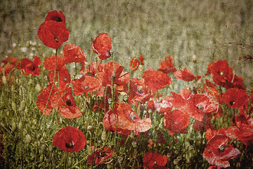 Image showing Retro Poppies