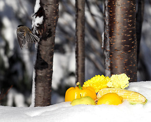 Image showing Splash of Summer in Winter