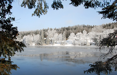 Image showing Winter wonderland