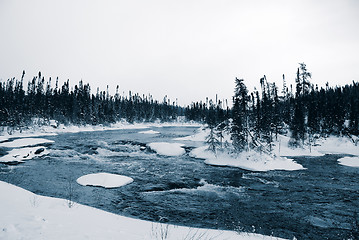 Image showing Winter Blues