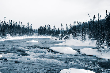 Image showing Winter Blues