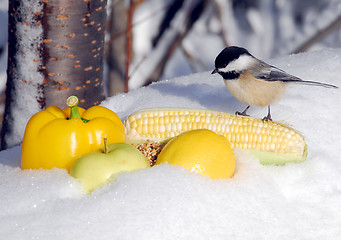 Image showing Splash of Summer in Winter