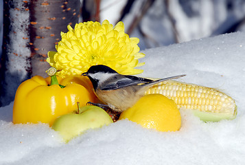 Image showing Splash of Summer in Winter