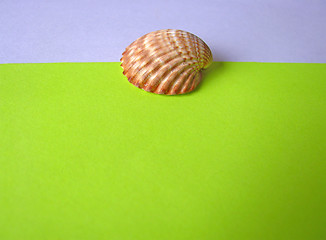 Image showing Blank paper with sea shell