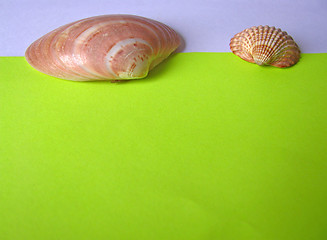 Image showing Blank paper with sea shells