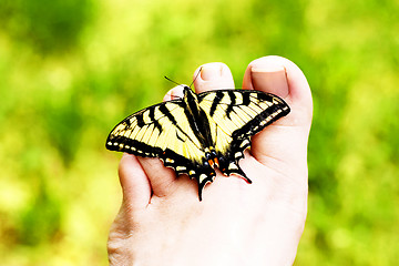 Image showing Butterfly Toe Ring