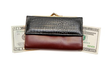 Image showing Retro woman leather purse on dollar bills  isolated 