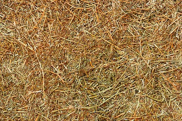 Image showing Hay texture background