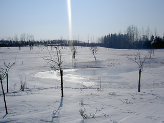 Image showing golf course at the winter