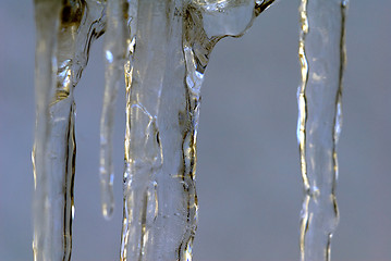Image showing Ice 