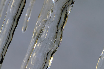 Image showing Ice 