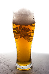 Image showing Light beer in tall glass