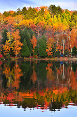 Image showing Fall forest reflections