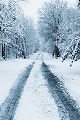 Image showing Long Snowy Road