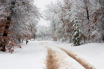 Image showing Snowy Road