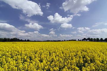 Image showing spring landscape