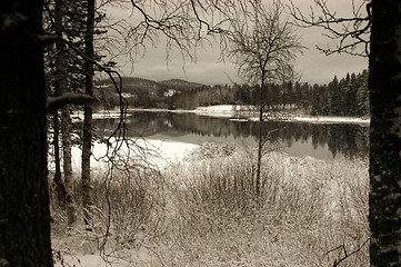 Image showing Open river in winter