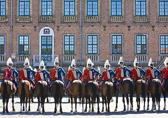 Image showing Horse guard