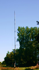 Image showing tre-g pole