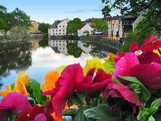 Image showing Flowers and lake in Uppsala