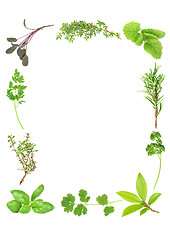 Image showing Fresh Aromatic Herbs