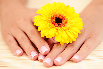 Image showing beautiful female hands