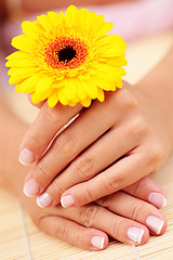 Image showing beautiful female hands