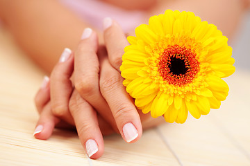 Image showing beautiful female hands