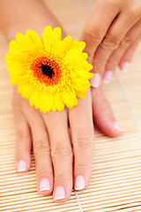 Image showing beautiful female hands