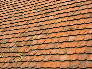 Image showing Old roof tiles 1