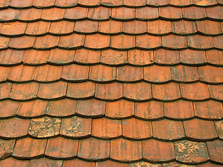 Image showing Old roof tiles 2