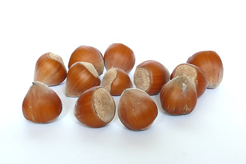 Image showing Hazel nuts