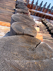 Image showing Butt-ends of  logs