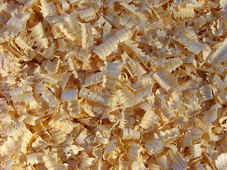 Image showing Shavings